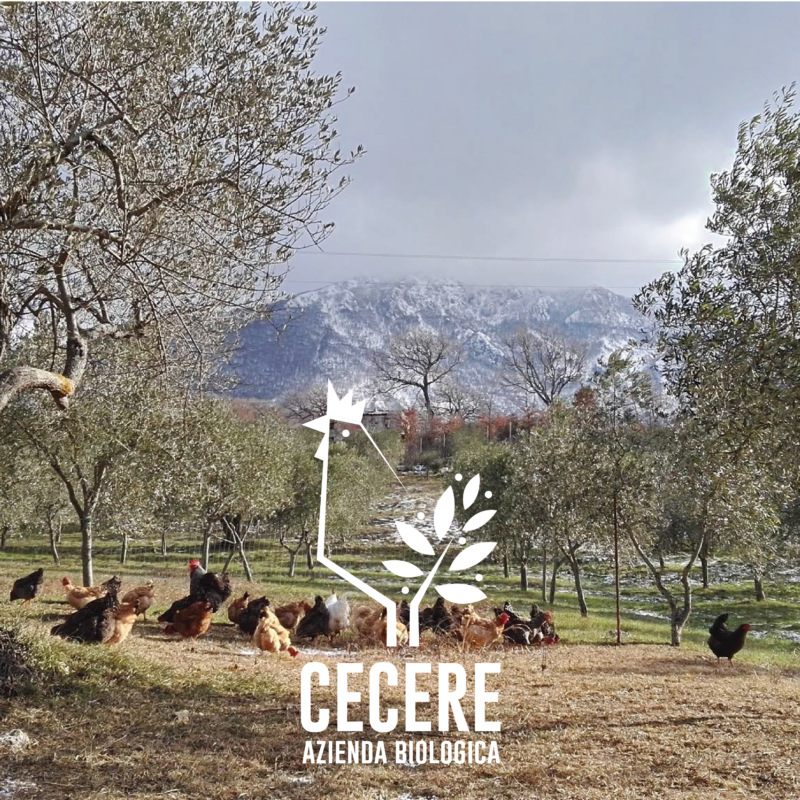 Azienda biologica Cecere