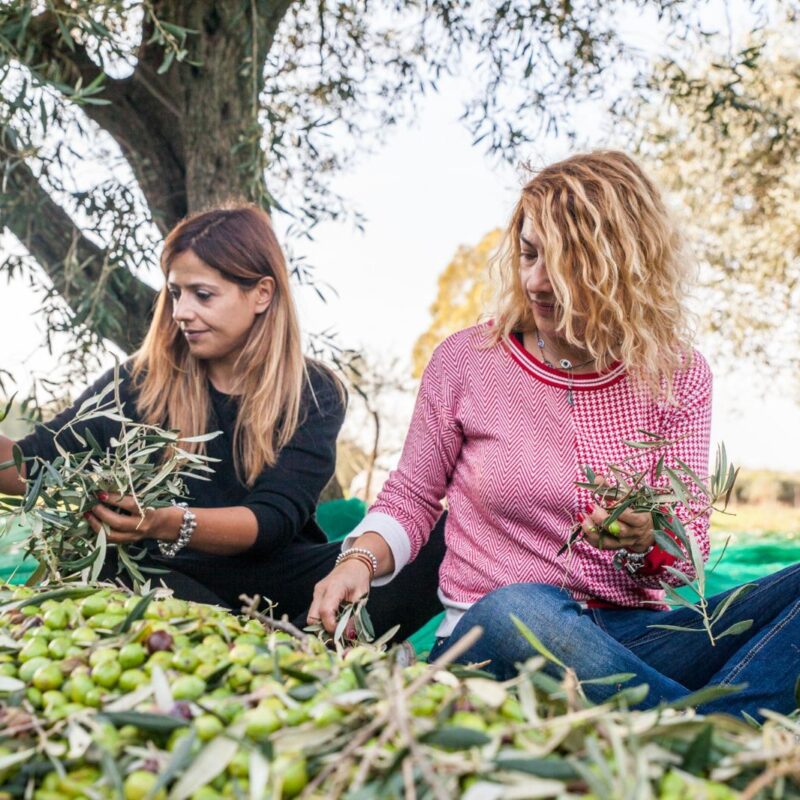 Azienda Agricola Orrù Antonella - Agriturismo il Giglio
