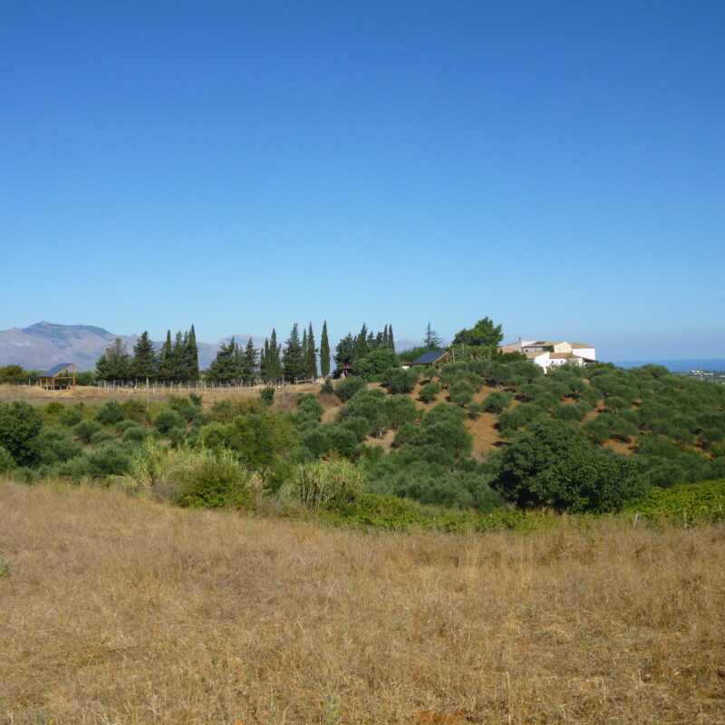 Azienda Agricola Natalia Simeti - Bosco Falconeria
